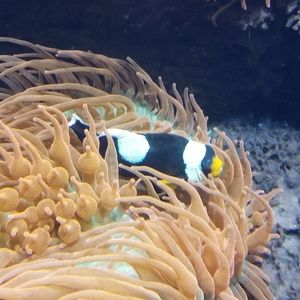 Meet your Posher, Mar